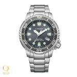 ساعت مچی سیتیزن مدل Citizen BN0167-50H